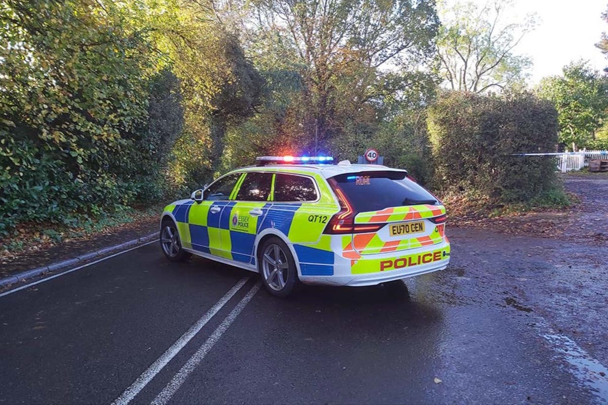 'Beautiful' boy, 15, killed in crash as he waited for school bus with friends - Vimarsana News