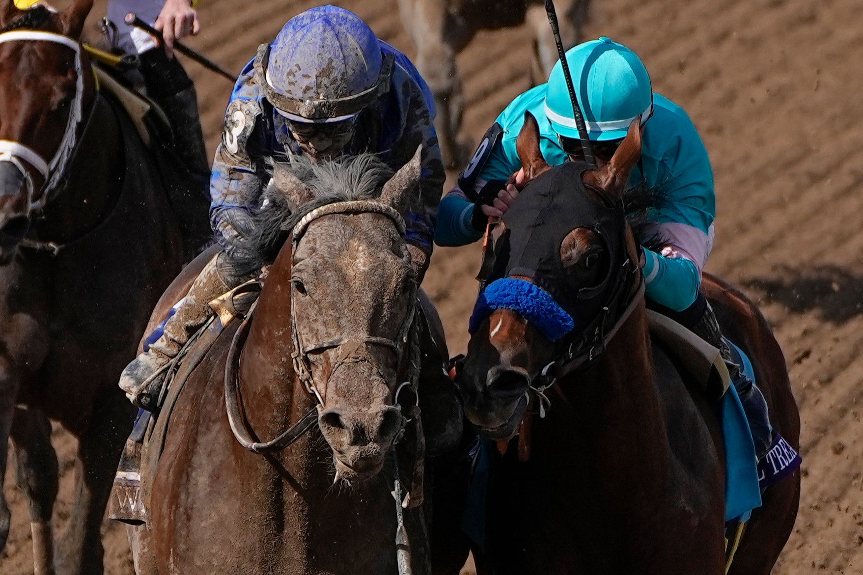 Breeders Cup Dirt Mile Horse Racing