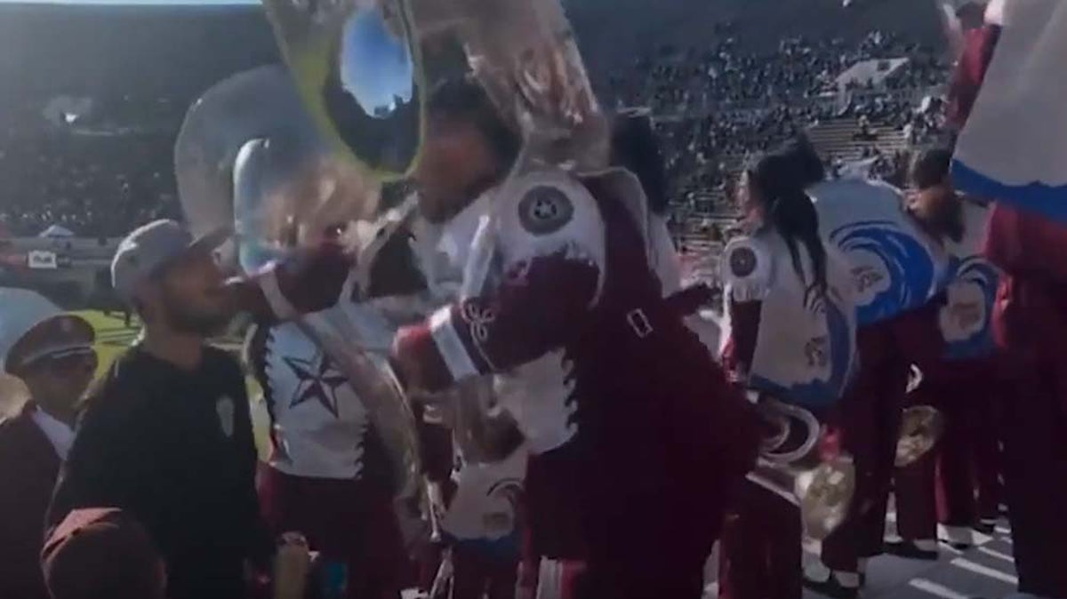 Texas Southern tuba player punches fan in stands at college football game
