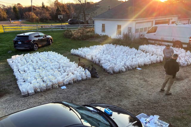 <p>This photo, released by the Connecticut State Police, shows bags of psychedelic mushrooms removed from a home in Burlington, CT, Thursday, Nov. 2, 2023. Federal, state and local authorities allege they found a </p>