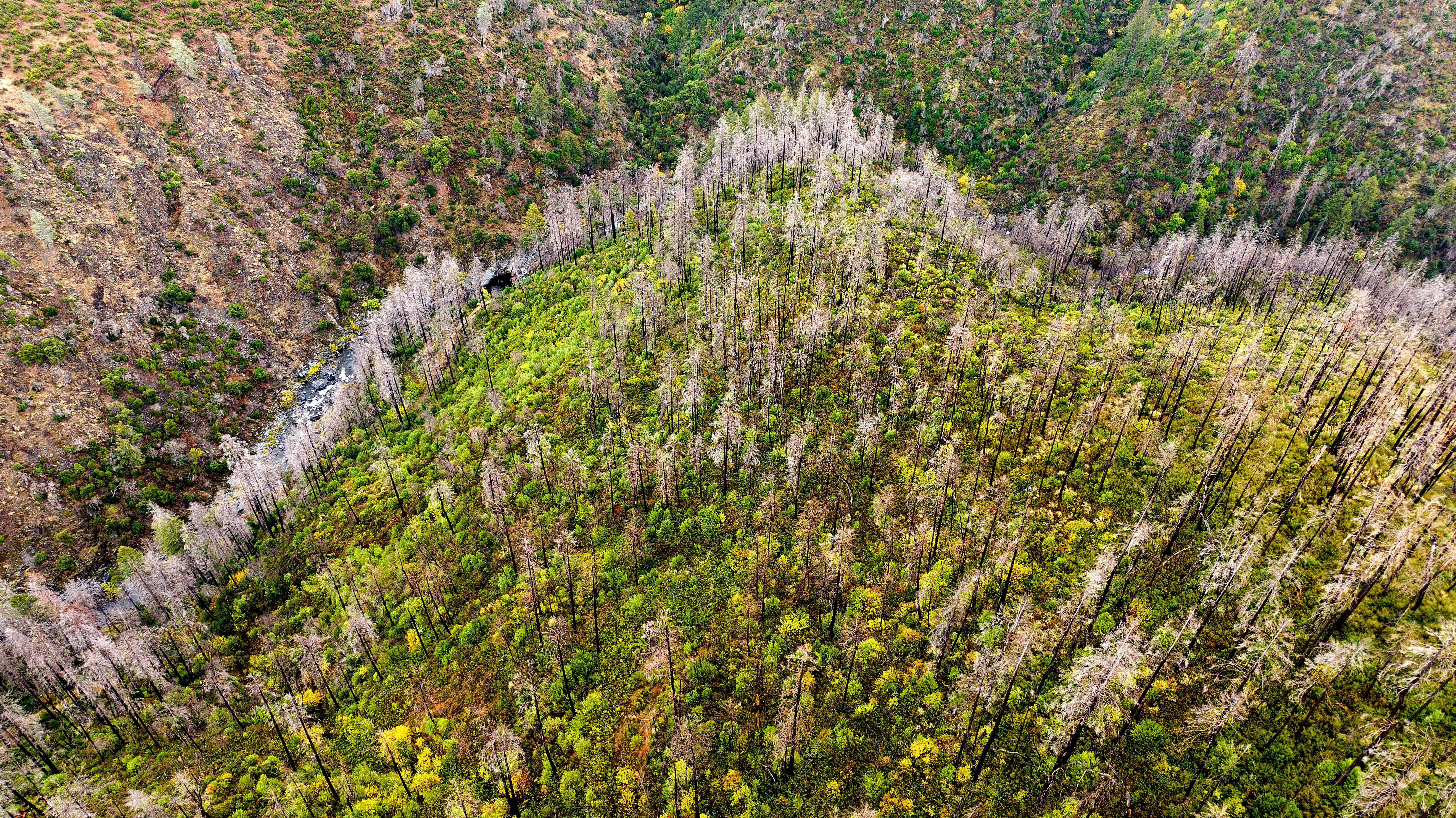 Paradise Fire Five Years Later