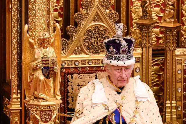 The King prepares to begin his speech at the state opening of Parliament in the House of Lords (Leon Neal/PA)