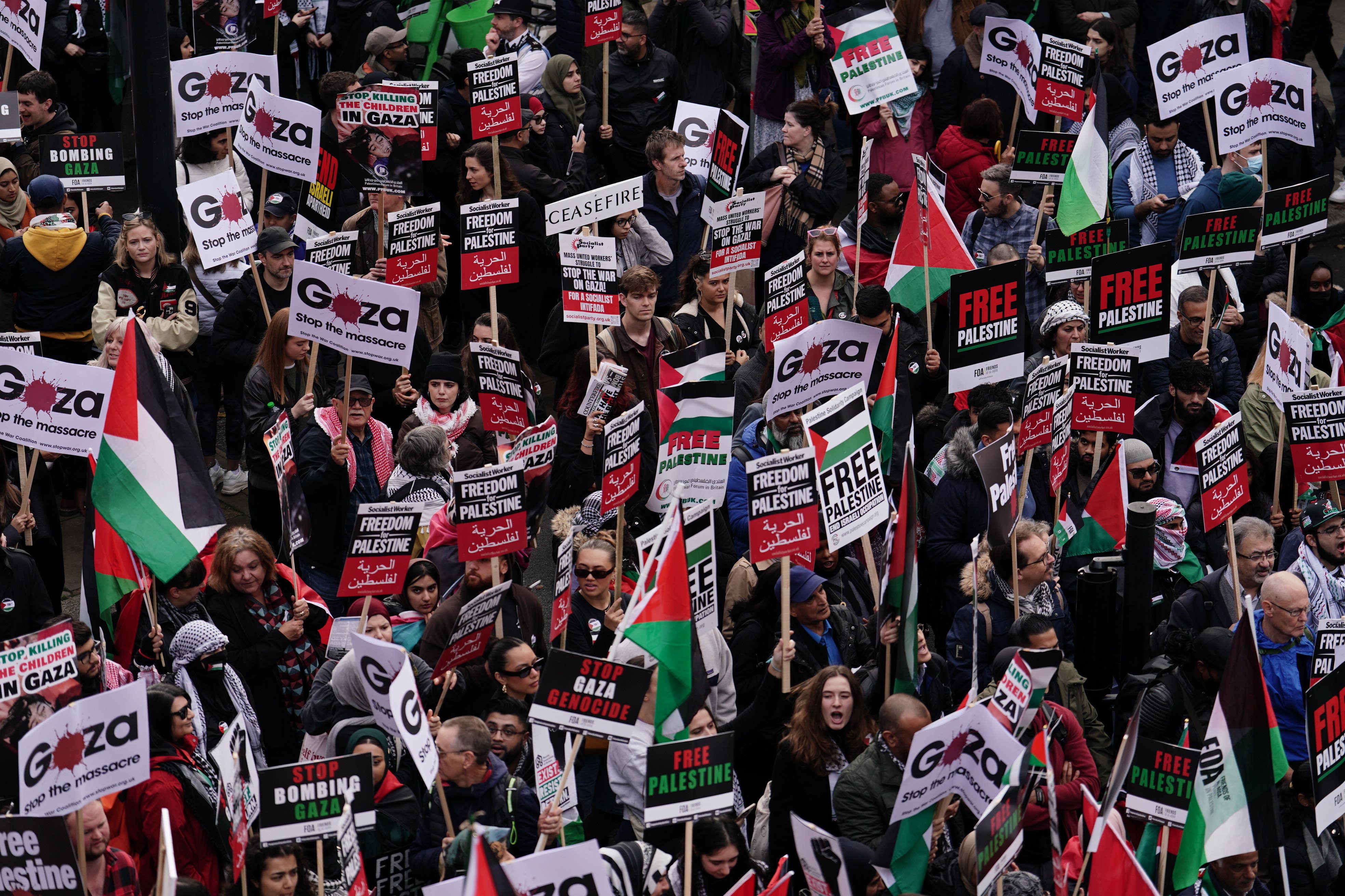 Protesters during a pro-Palestine march organised by Palestine Solidarity Campaign in central London last month