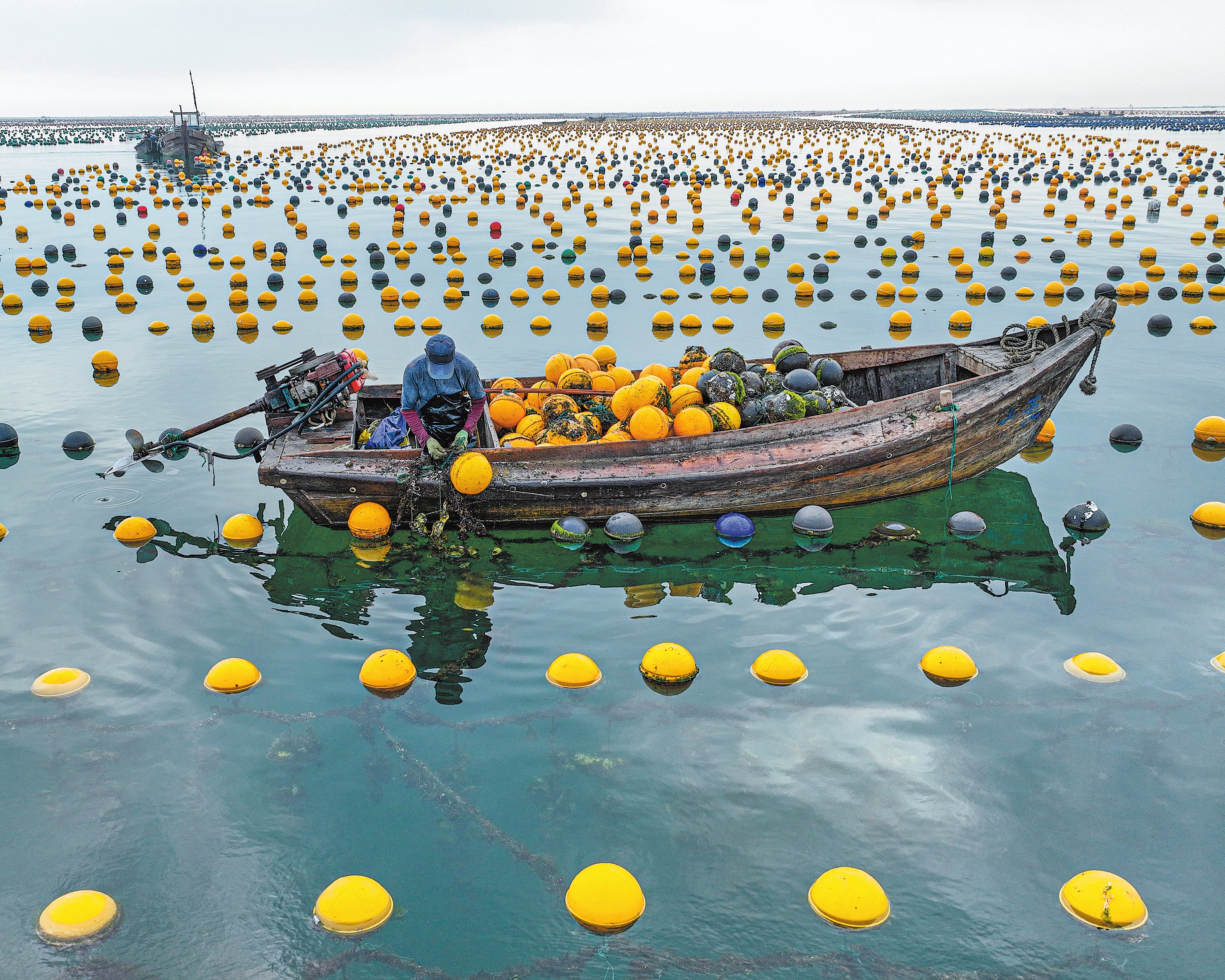 A fisherman checks buoys made from eco-friendly materials that pose no harm to the ocean environment, at an aquaculture farm in Rongcheng, Shandong province