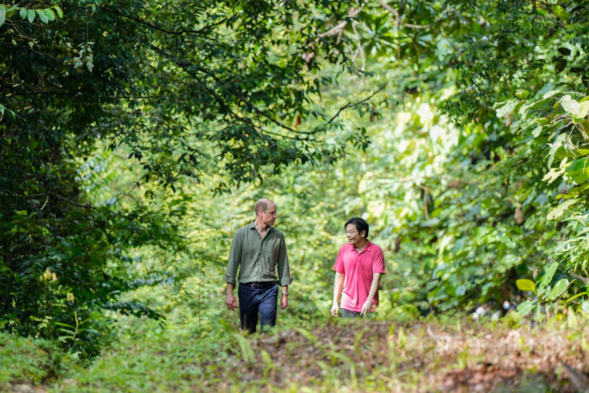 William visits jungle and hears about conservation work of young people