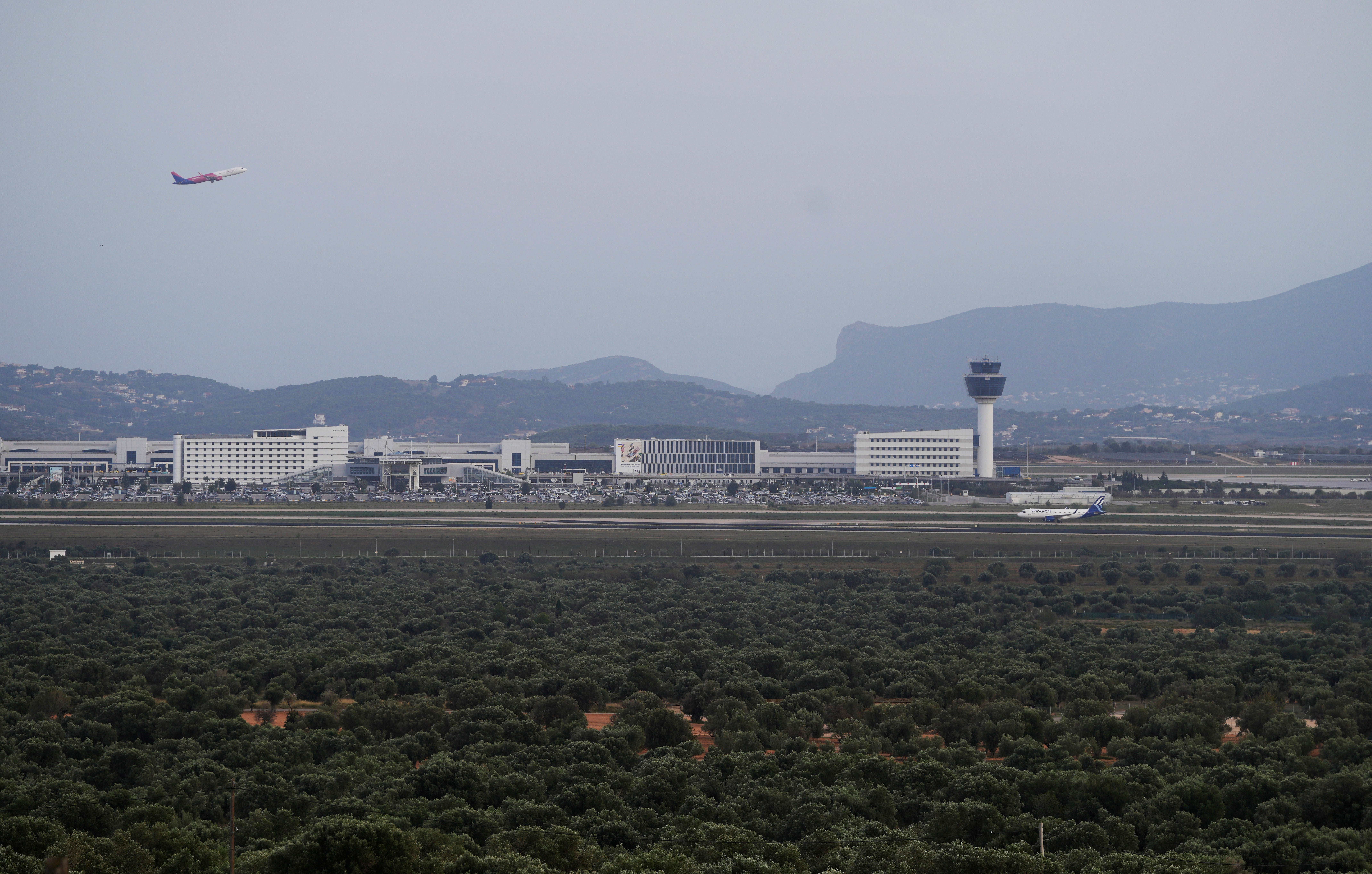 A plane takes off as the olive groves surround the city’s international airport, in Spata suburb, east of Athens