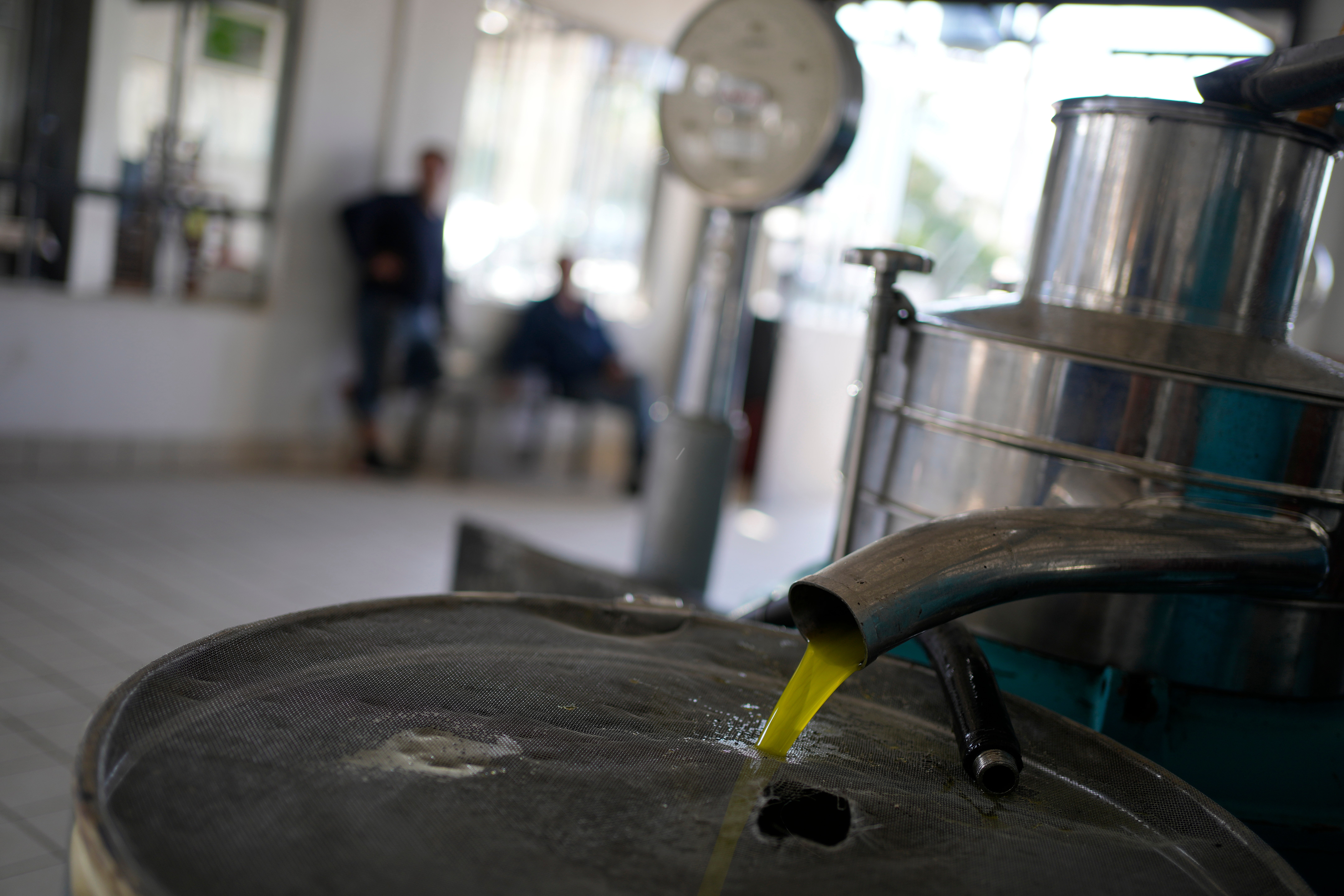 A tank is filled with olive at an olive mill in Spata suburb, east of Athens, Greece