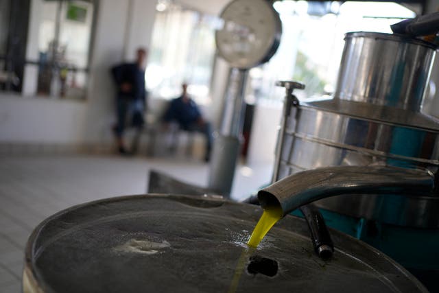 <p>A tank is filled with olive at an olive mill in Spata suburb, east of Athens, Greece</p>