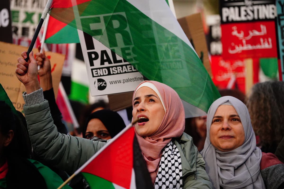 ‘Ongoing discussions’ after police give go-ahead for Gaza rally