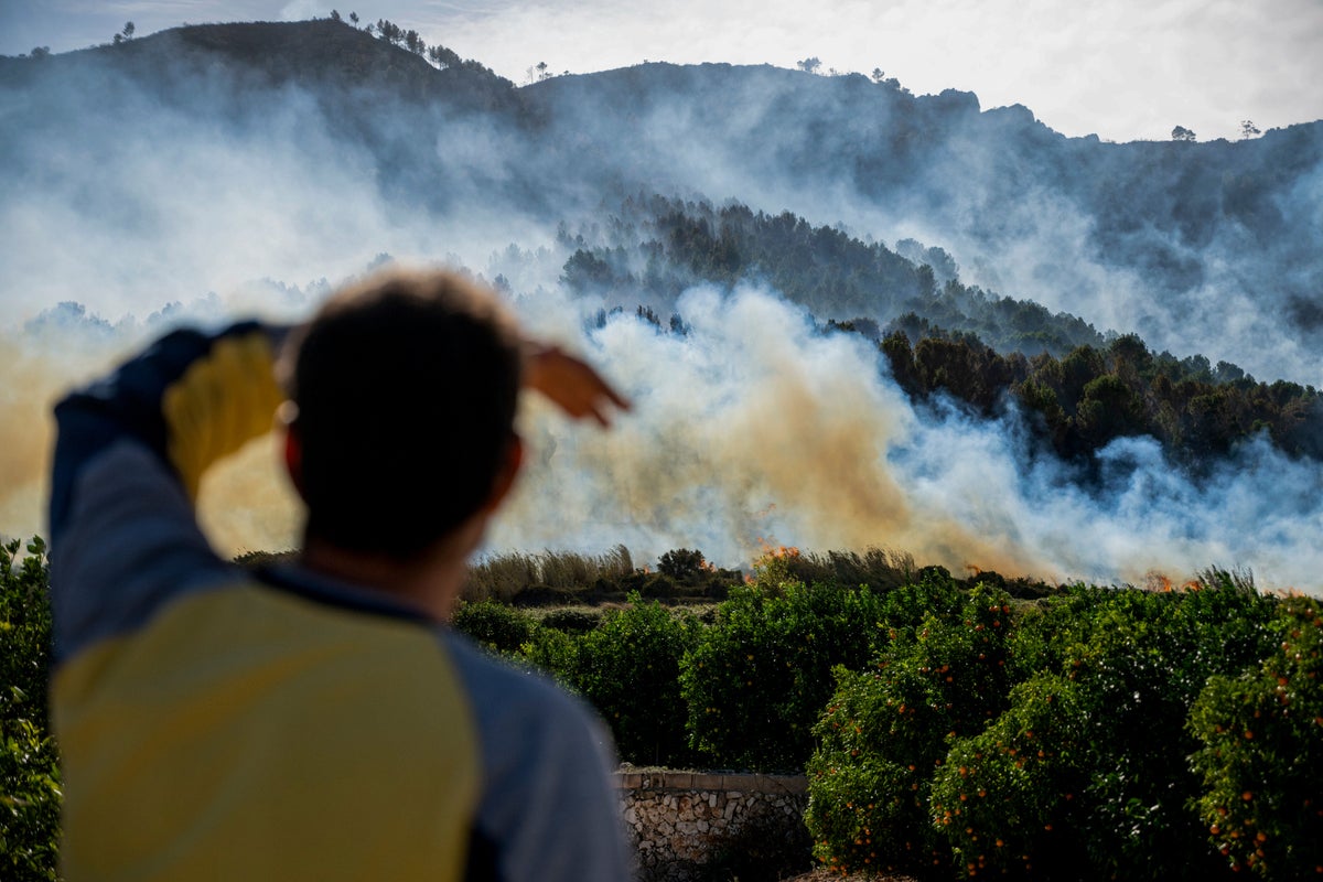 Virtually certain 2023 will be warmest year on record, say climate scientists