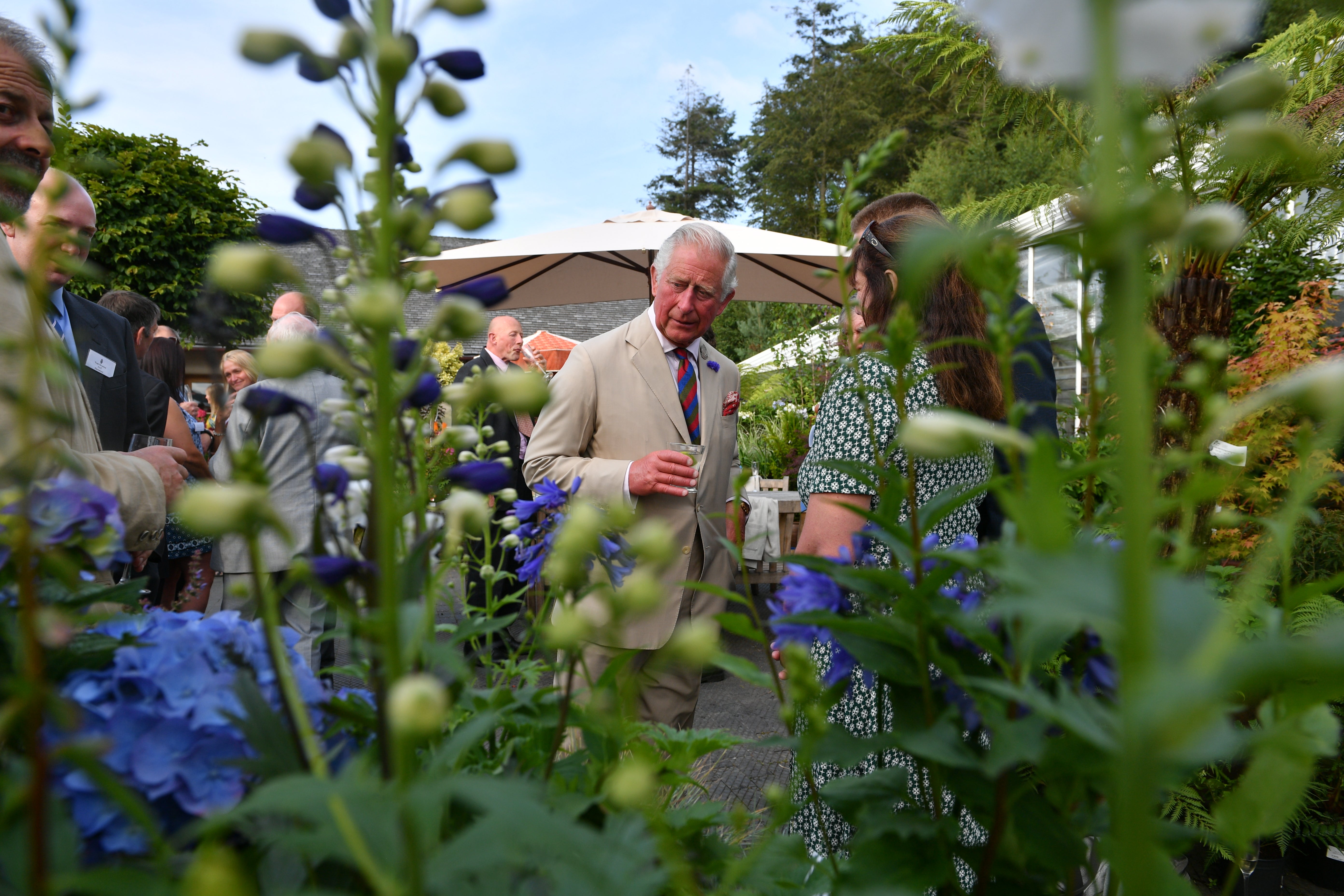 The then Prince Charles seemed avant-garde in his own kind of green obsession, and was often mocked for talking to his plants