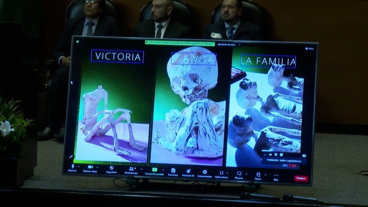 <p>‘Alien’ videos shown to Mexican politicians as journalist claims ‘non-human beings’ found in Peru.</p>
