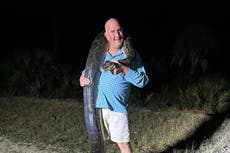 Snake hunters catch ‘monster’ python in Florida