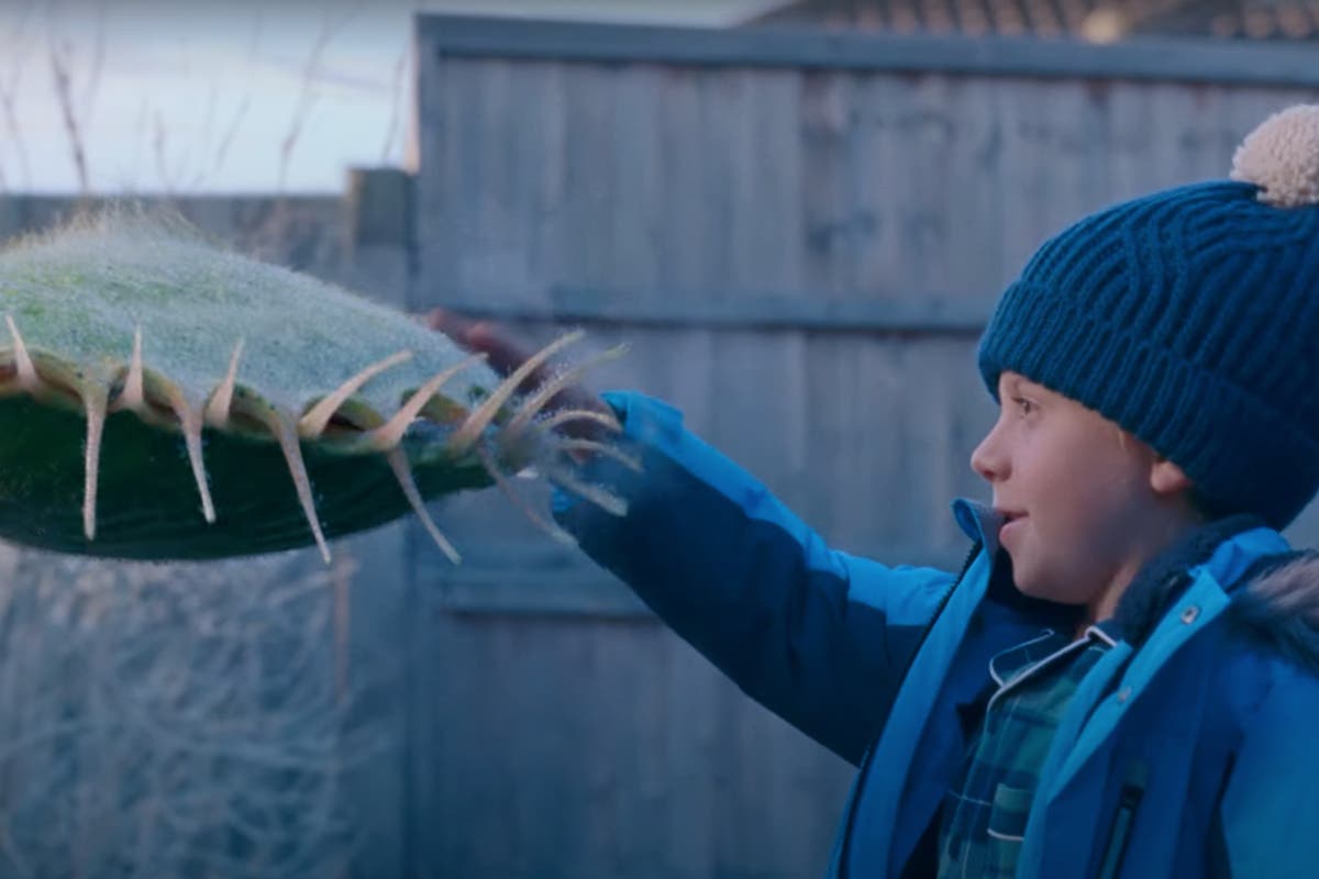 John Lewis Christmas advert sparks huge debate as fans divided over &lsquo;festive&rsquo; Venus flytrap