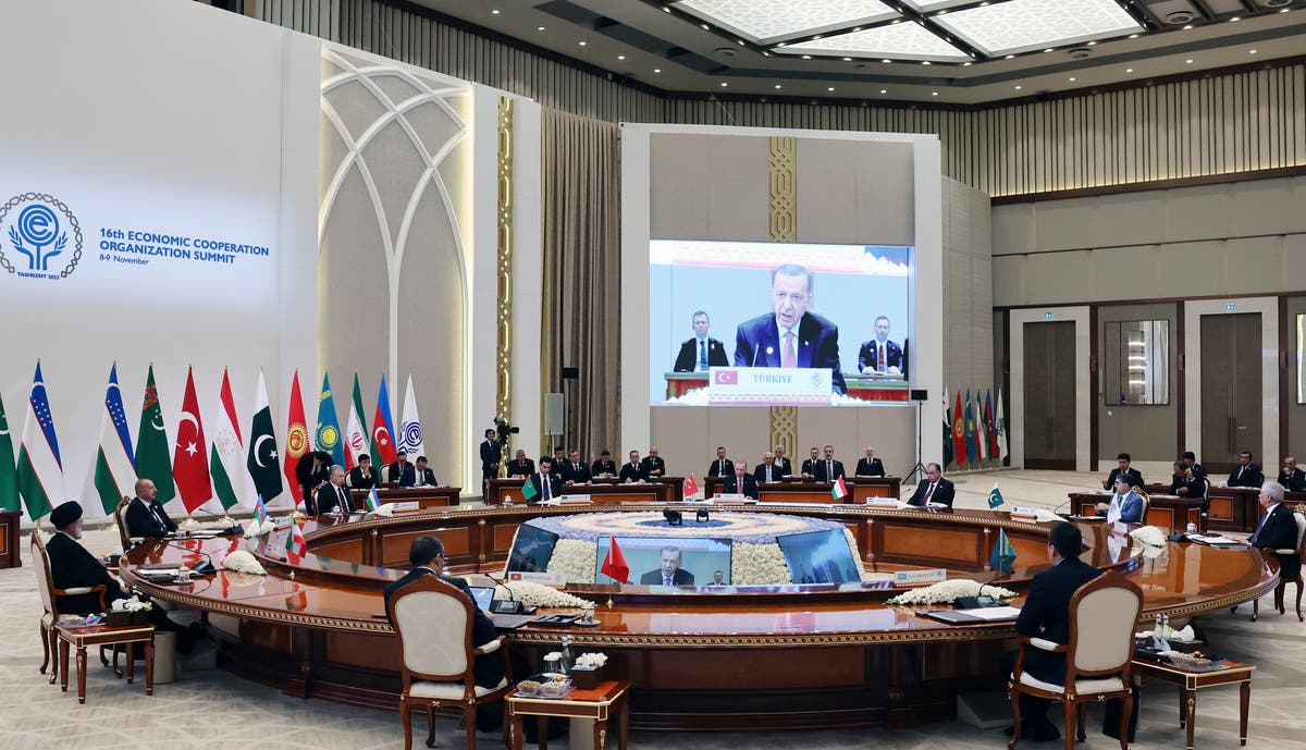 Uzbekistan hosts summit of regional economic alliance