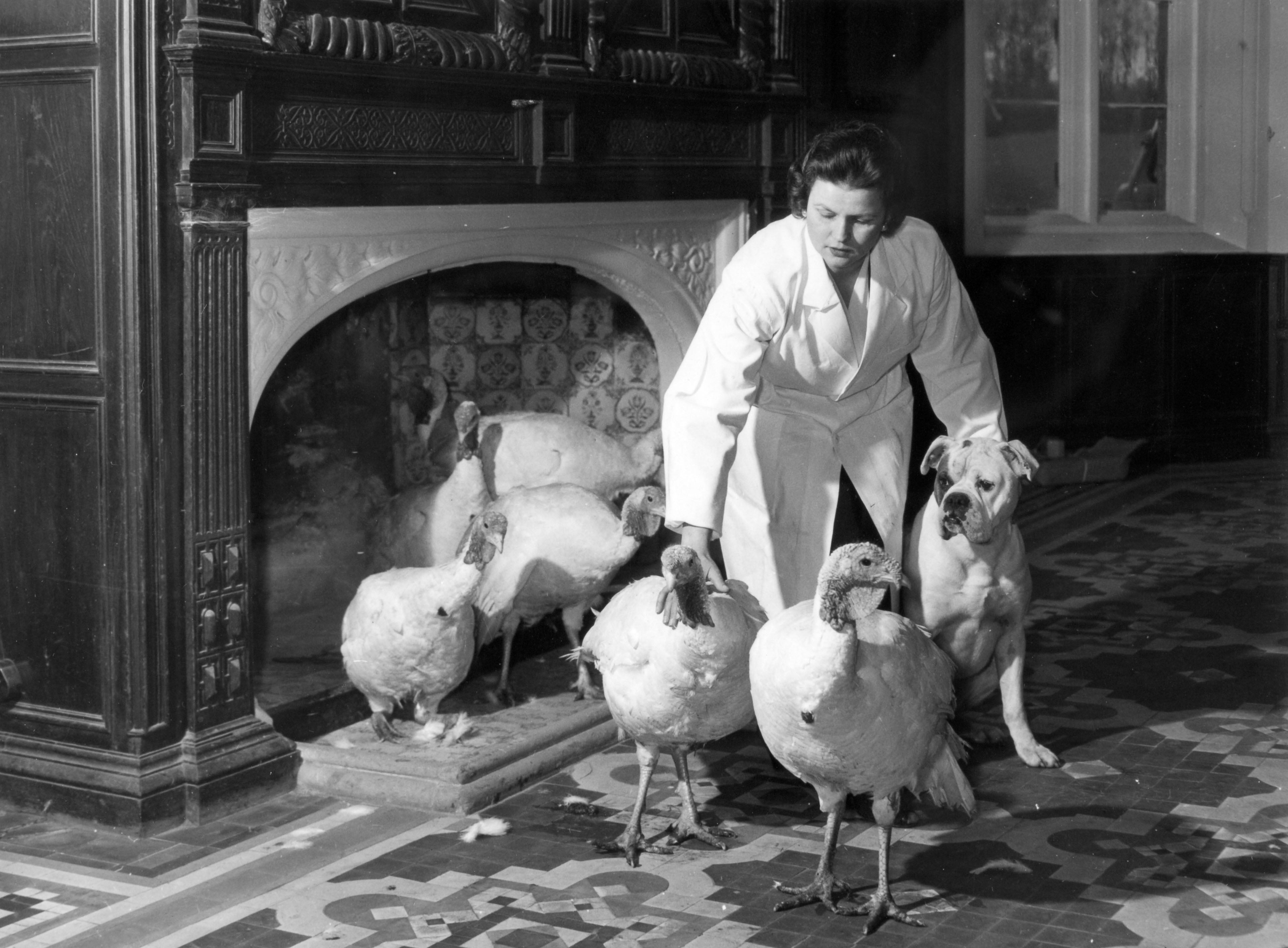 The late Bernard Matthews and his wife Joyce (pictured) once used their sprawling country manor, Great Witchingham Hall, to house turkeys