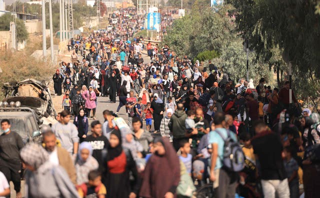 <p>Palestinians families fleeing Gaza City and other parts of northern Gaza towards the southern areas, walk along a highway on November 9, 2023</p>