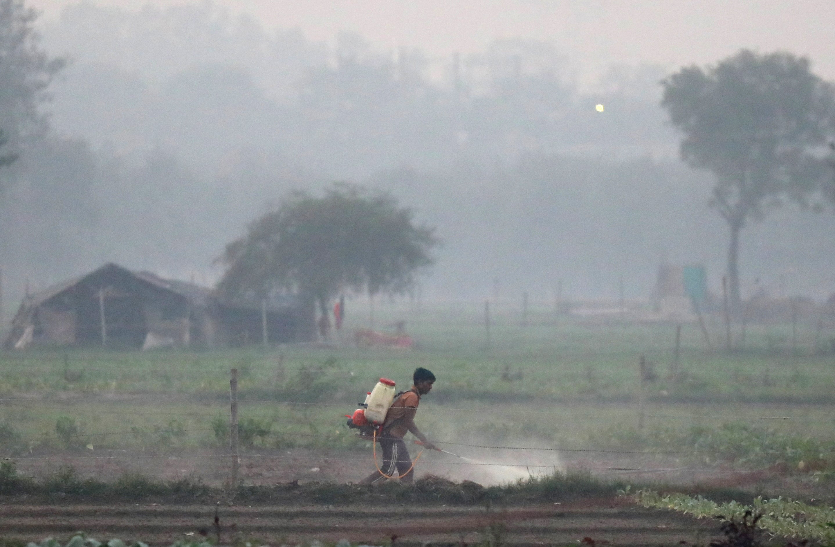 A farmer works at a farm land on Yamuna river bed in heavy smog in New Delhi on 8 November 2023