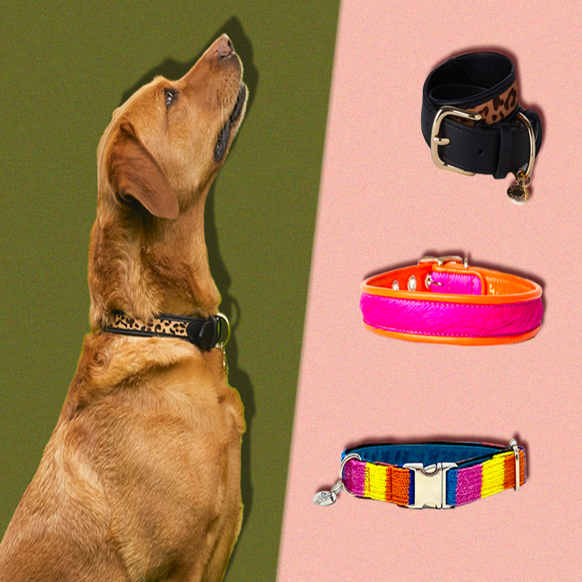 Luxury Leather Designer Dog Collar In XS, S, M, L, XL (Optional Leash  Available)