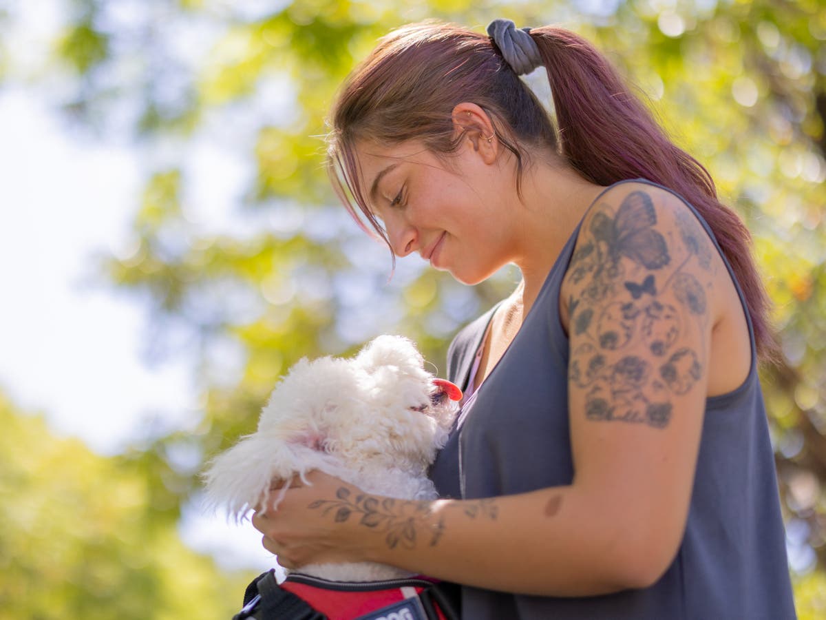 Brother divides for not allowing his sister to bring service dog to his wedding