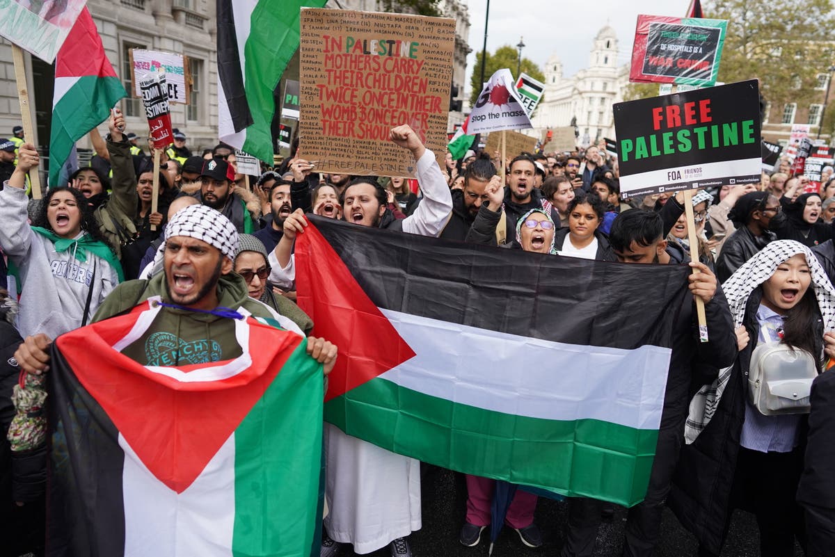 Watch view of huge pro-Palestine march in London on Remembrance Day ...