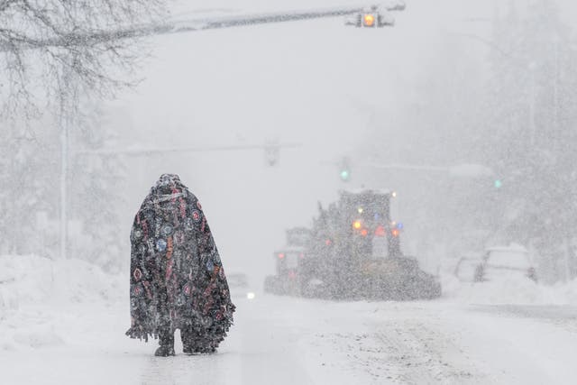 <p>A pedestrian takes cover under a blanket in Anchorage as plows clear the roadway on 9 November</p>