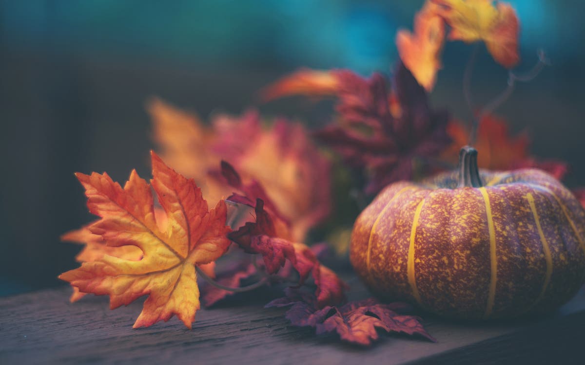 From a Turkey trot to a movie marathon, Friendsgiving celebrations that aren&rsquo;t a sit-down dinner