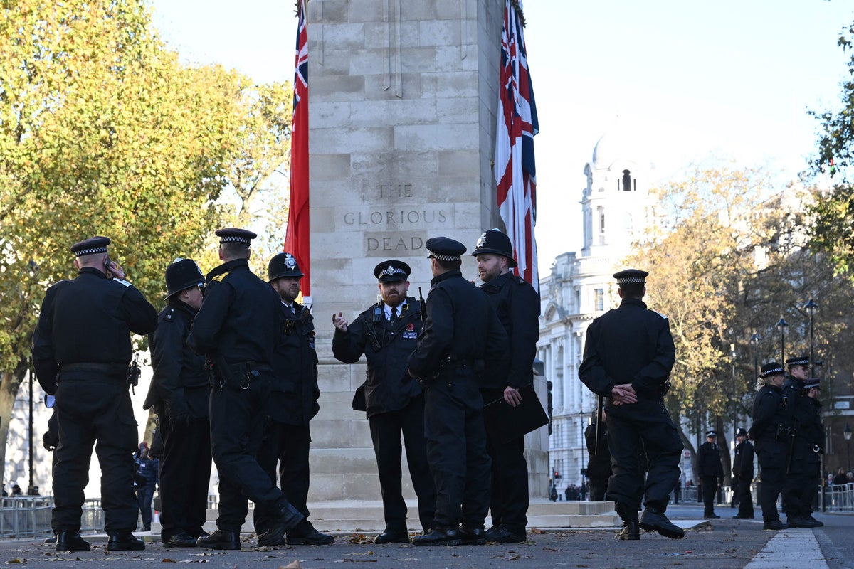 Watch live view of Cenotaph in London as Remembrance Day silence held amid protests
