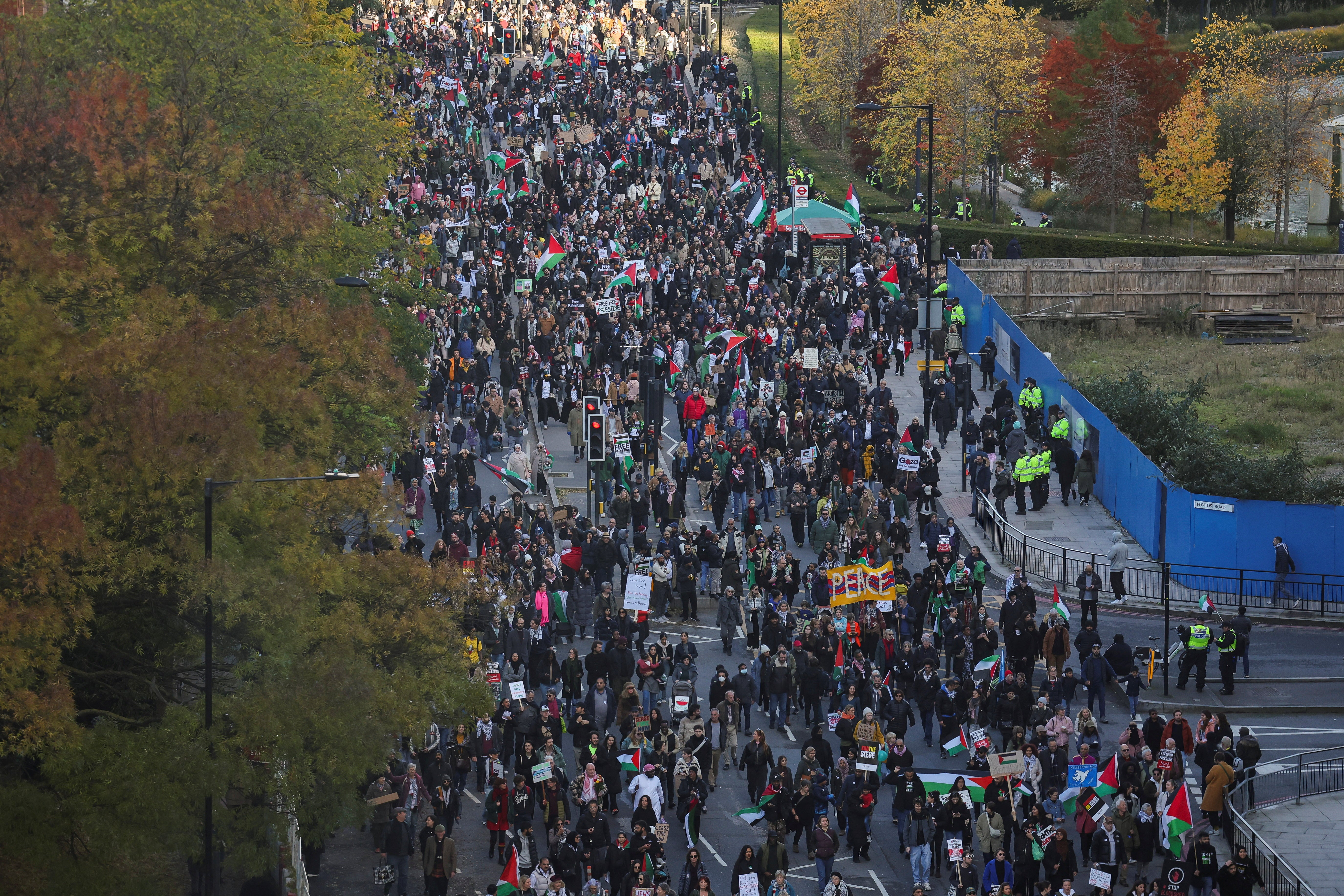 Hundreds of thousands at a pro-Palestine protest on Armistice Day