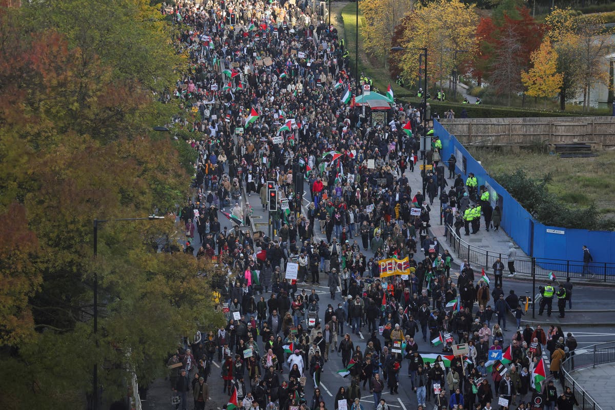 Pro-Palestine march: Far-right protesters clash with police as hundreds of thousands join rally - Vimarsana News