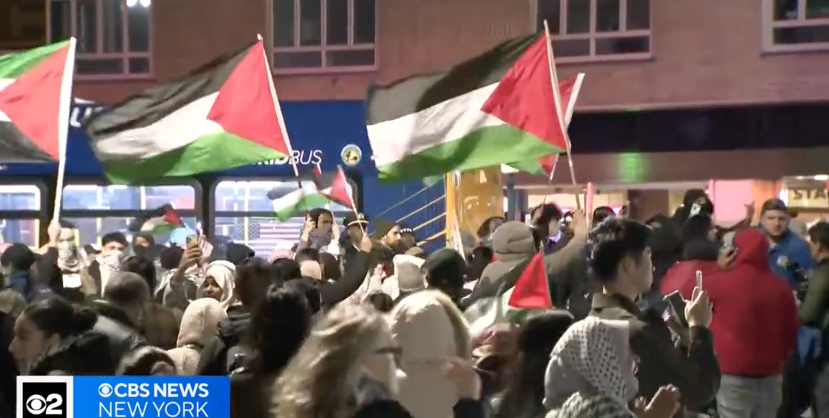 Pro-Palestinian protesters shut down NYC's Grand Central Station - Vimarsana News