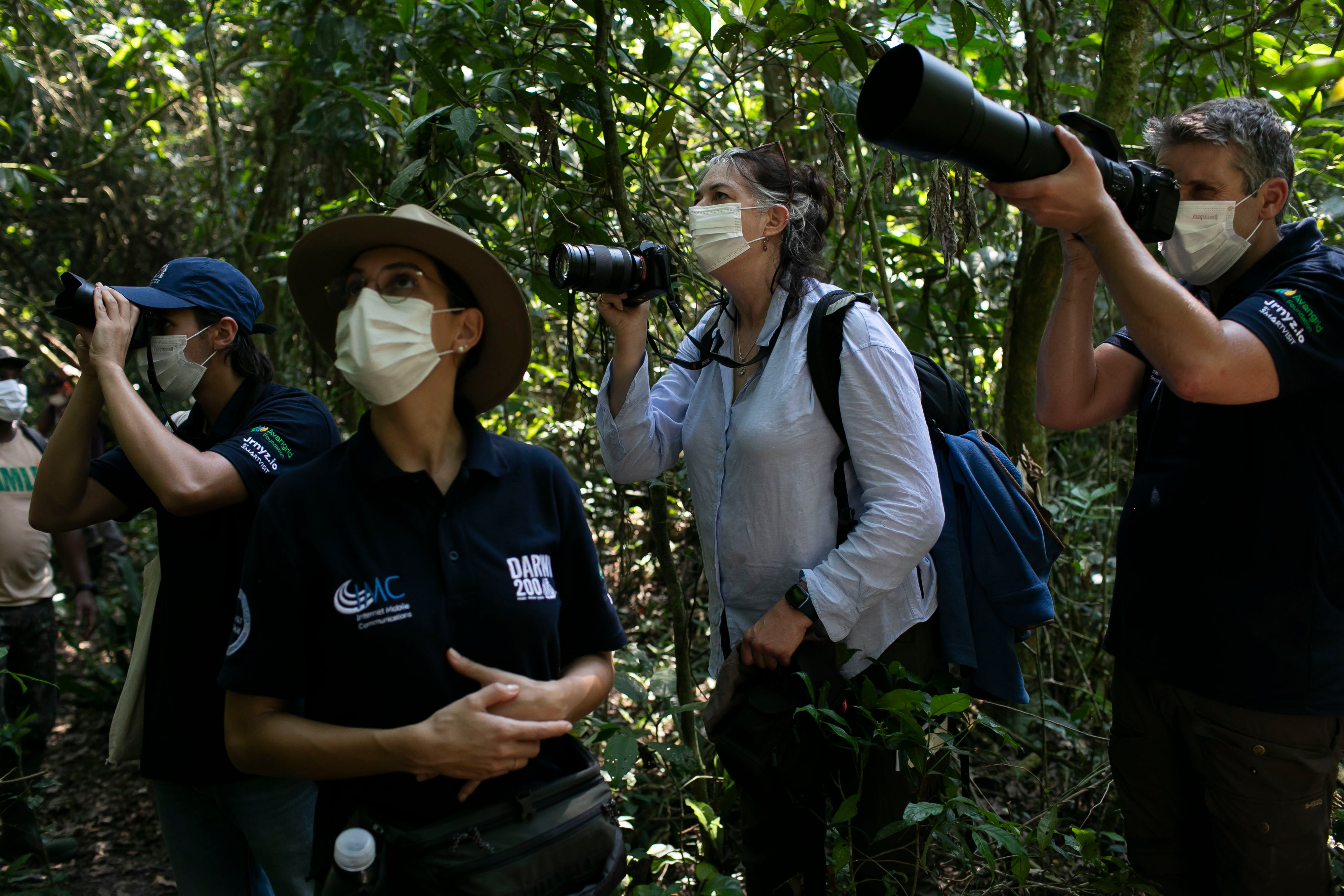 Brazil Primate Jungle Fieldwork