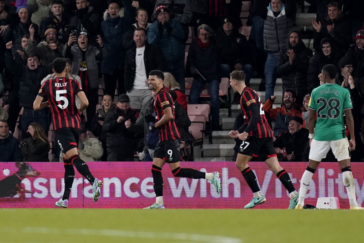 Dominic Solanke double downs Newcastle as Bournemouth climb out of bottom three