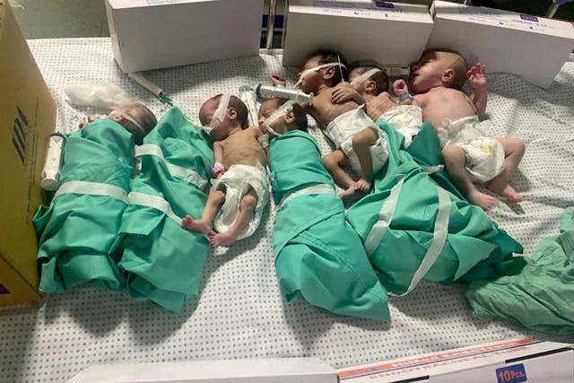 <p>Newborns taken off incubators in Gaza’s al-Shifa hospital after a power outage</p>