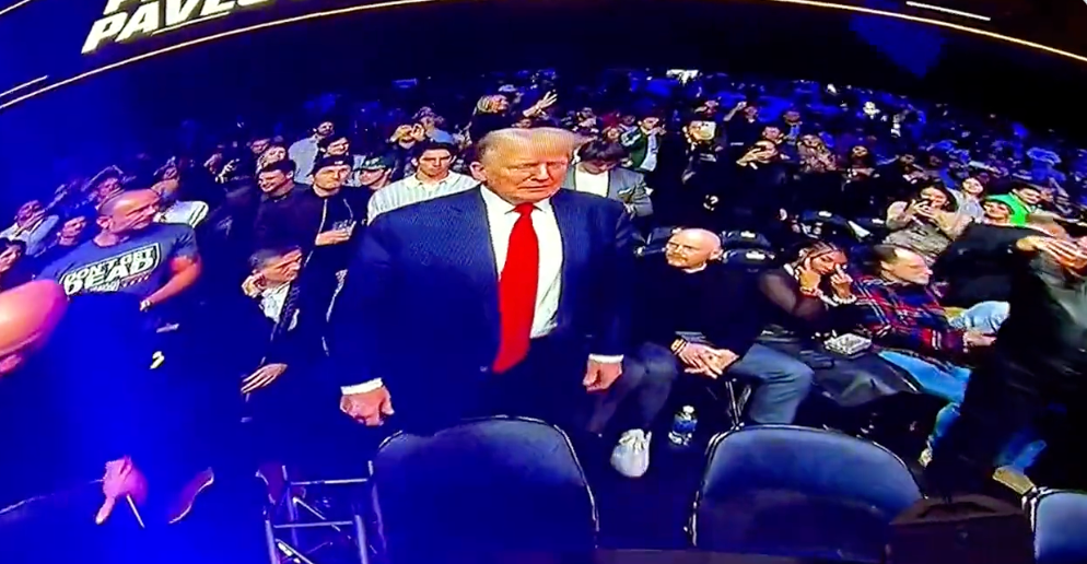 Nia Renee Hill, who is married to comedian Bill Burr, appears to flip the bird at Donald Trump at UFC 295 in Madison Square Garden on Saturday night
