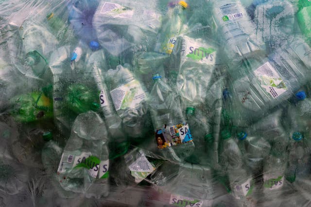<p>Plastic pollution has reached critical levels</p>