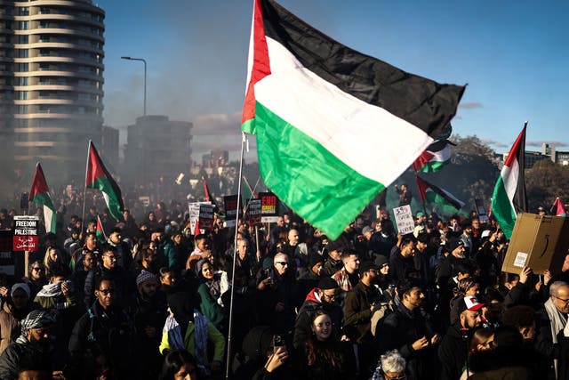 <p>Pro-Palestine protest in London on Armistice Day attracted huge crowds but the UK government has not backed a ceasefire  </p>