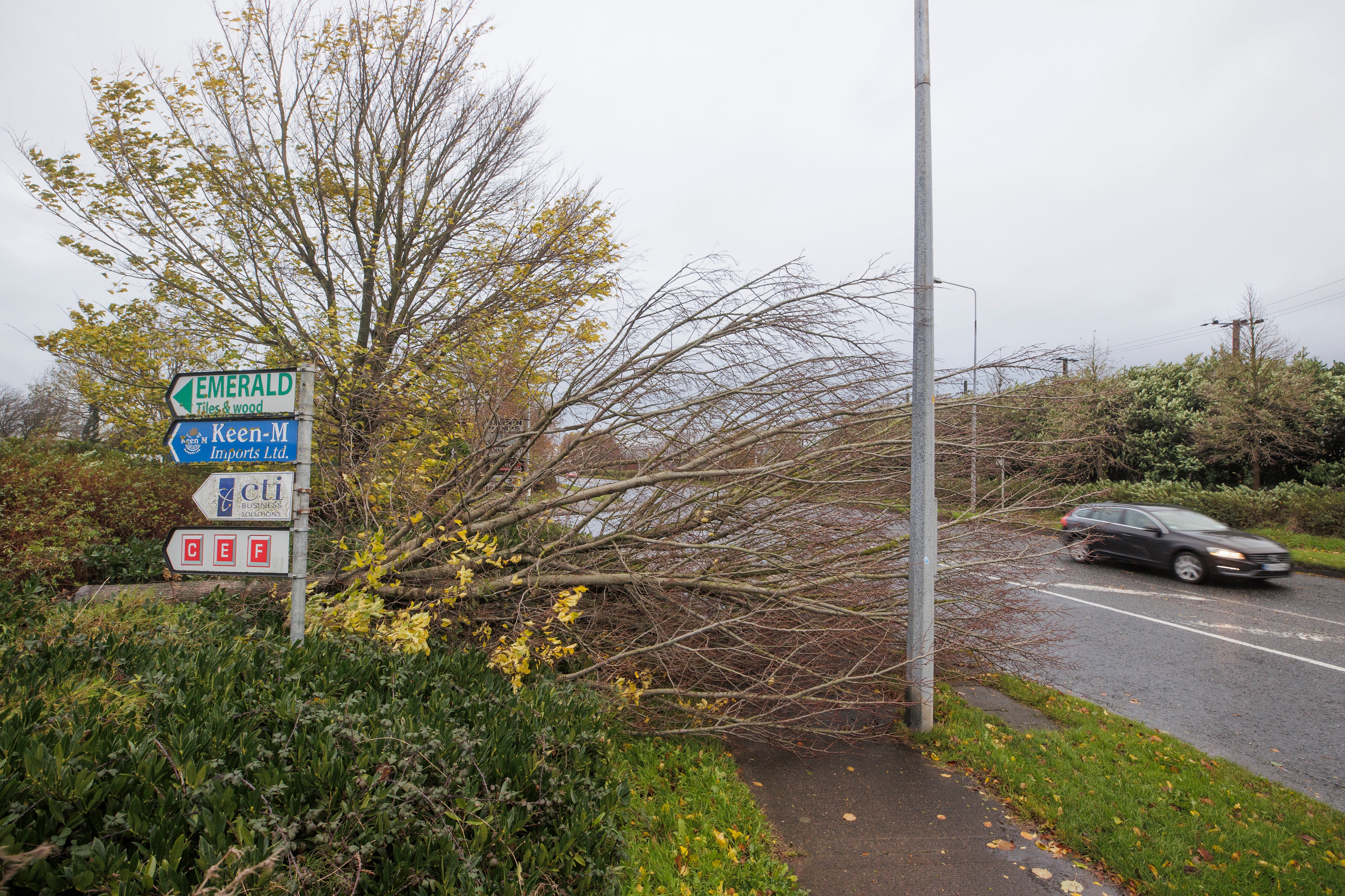 Heavy winds and fallen trees have been reported across Ireland as local authorities begin to assess the damage as Storm Debi batters the country.