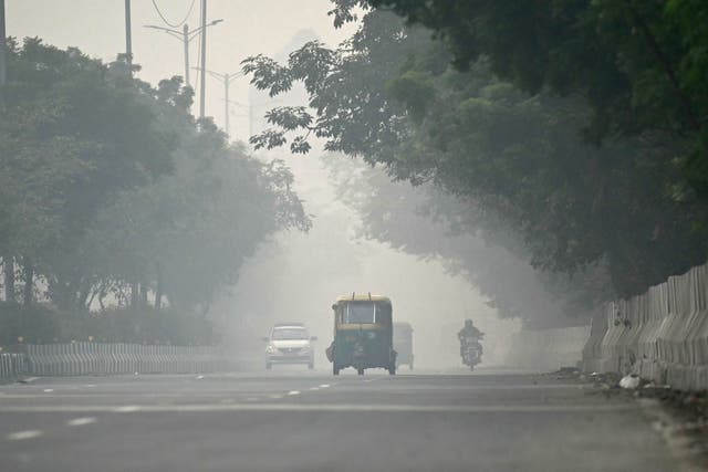 <p>Commuters make their way along a road amid heavy smoggy conditions in Delhi on Monday (13 November) </p>