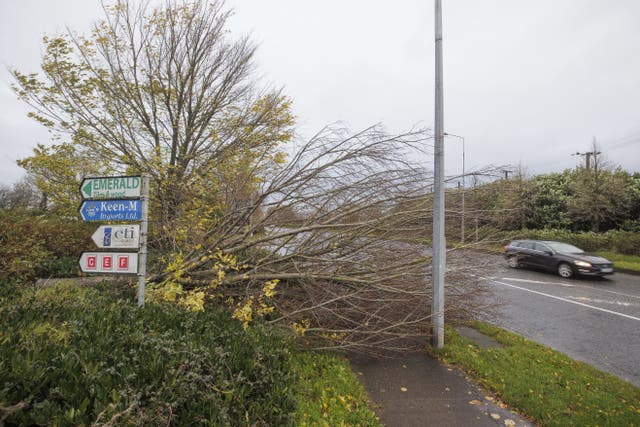 A fallen tree on the Coes Road in Dundalk, Co Louth (Liam McBurney/PA)