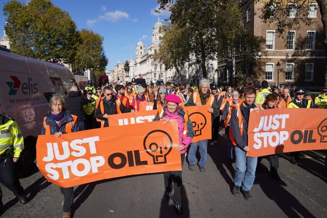 Just Stop Oil protesters staged a demo in Whitehall earlier this month (Lucy North/PA)