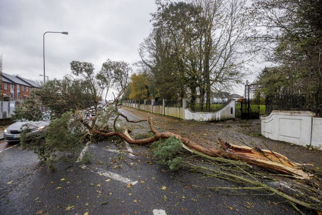 Storm Debi has brought disruption to Ireland, bringing down a tree in Dundalk, and an amber weather warning is in place for North West England on Monday (Liam McBurney/PA)
