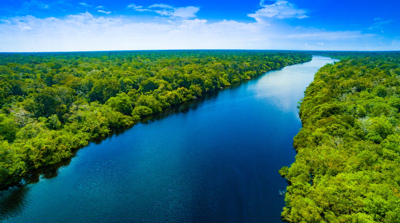 The Amazon basin has an area of around 2.7 million square miles