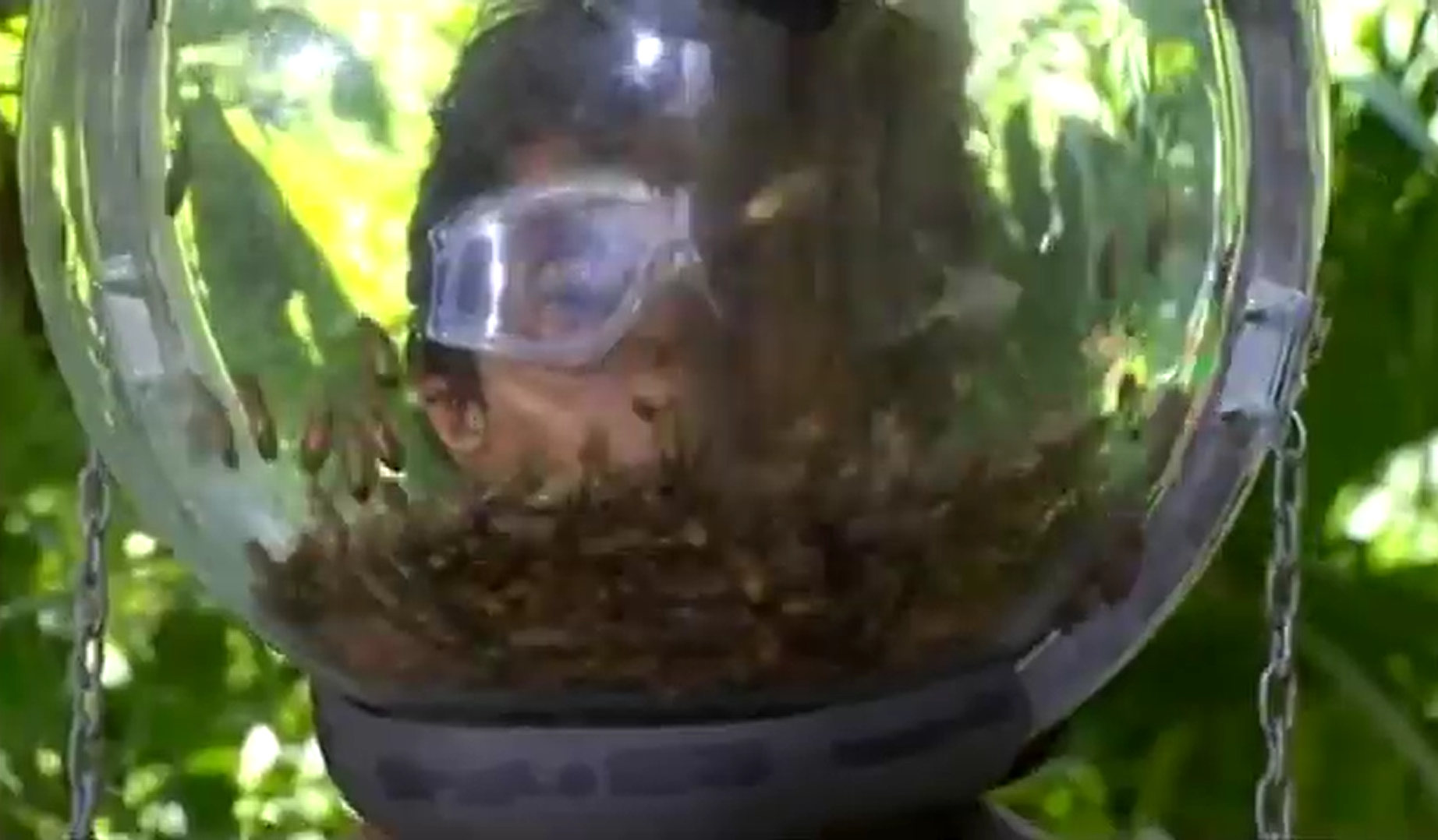 Fatima Whitbread kept cockroach that got up her nose on I'm A Celeb