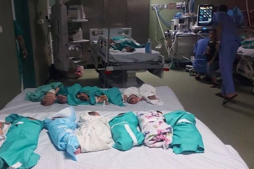 Babies are being laid side by side for warmth at al-Shifa Hospital after incubators ran out of power