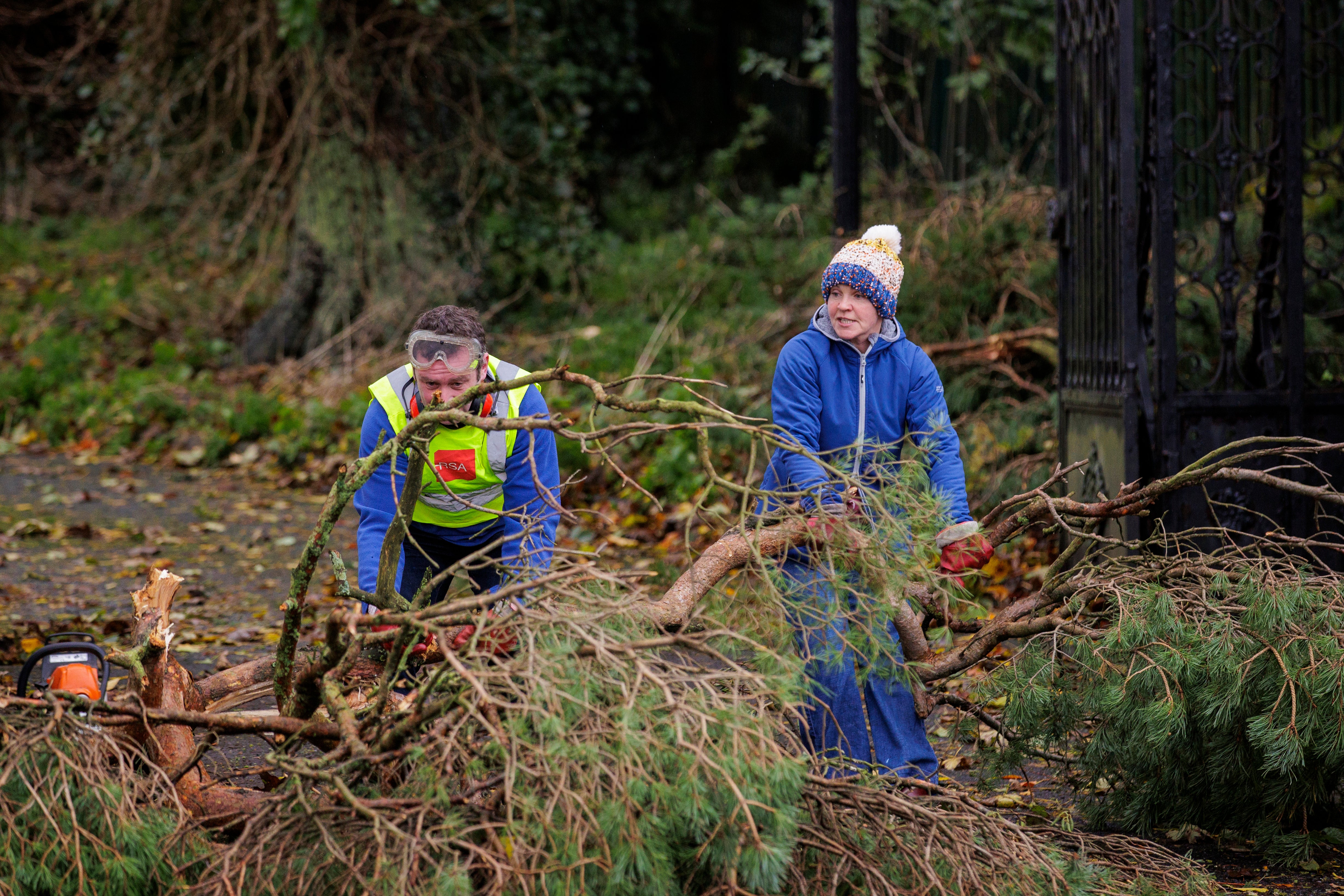 A man and a woman clear a fallen tree on the Dublin Road in Dundalk, Co Louth on Monday