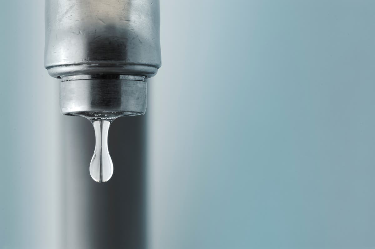How water can help future-proof your business - Vimarsana News
