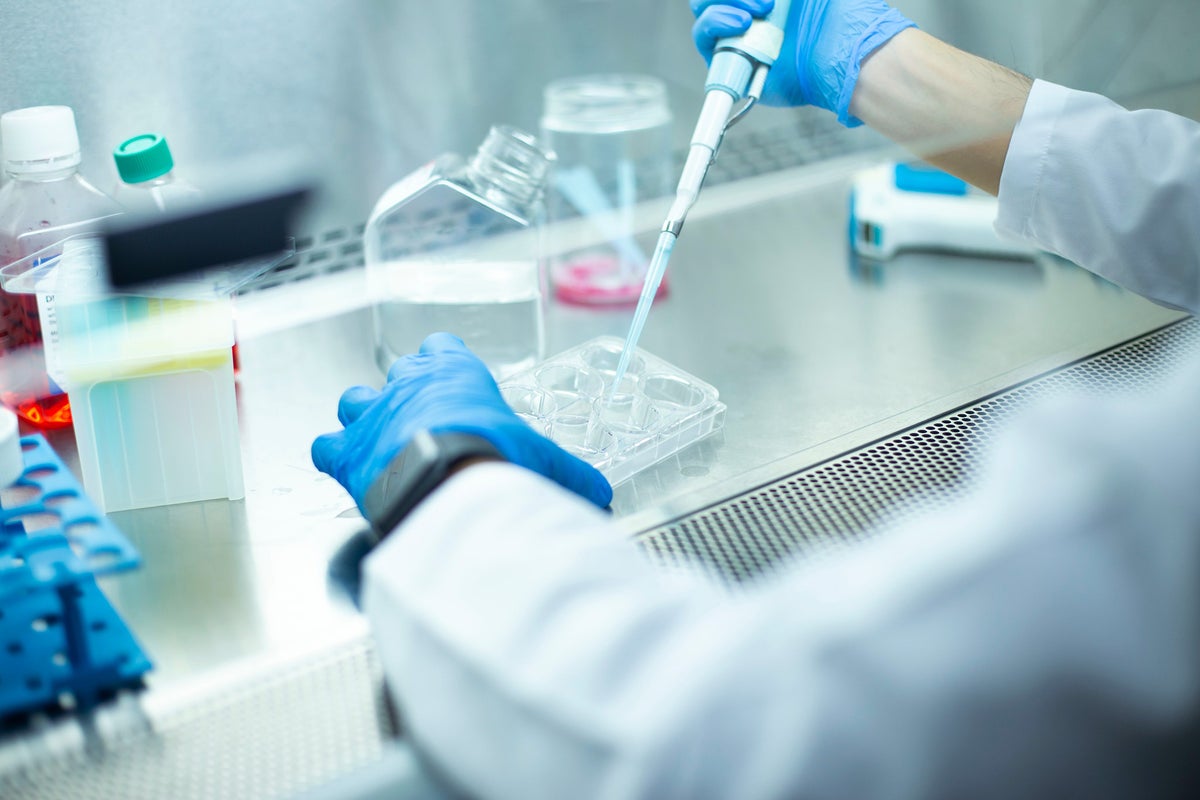 Have scientists’ plastic gloves led to an overestimate of microplastics in the environment? Have scientists’ plastic gloves led to an overestimate of microplastics in the environment?