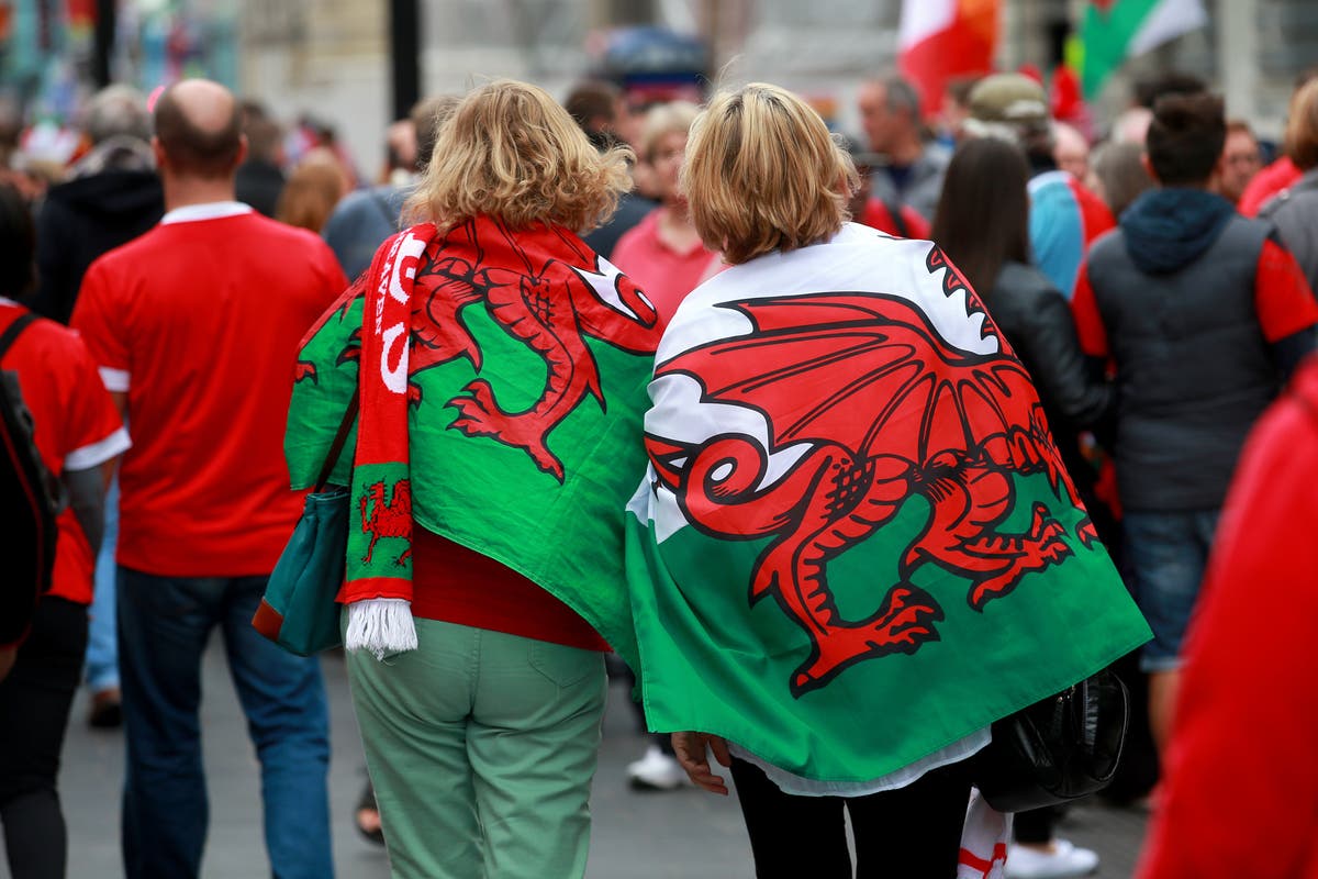 Incoming Welsh Rugby Union boss vows to &lsquo;turn this round&rsquo; after damning review