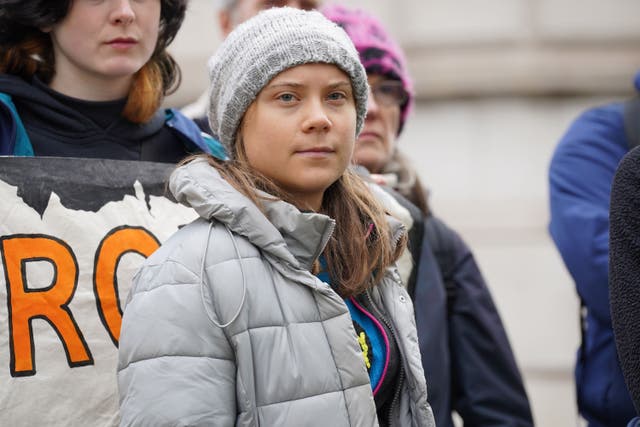 <p>Greta Thunberg was arrested at a protest on October 17 (Lucy North/PA)</p>